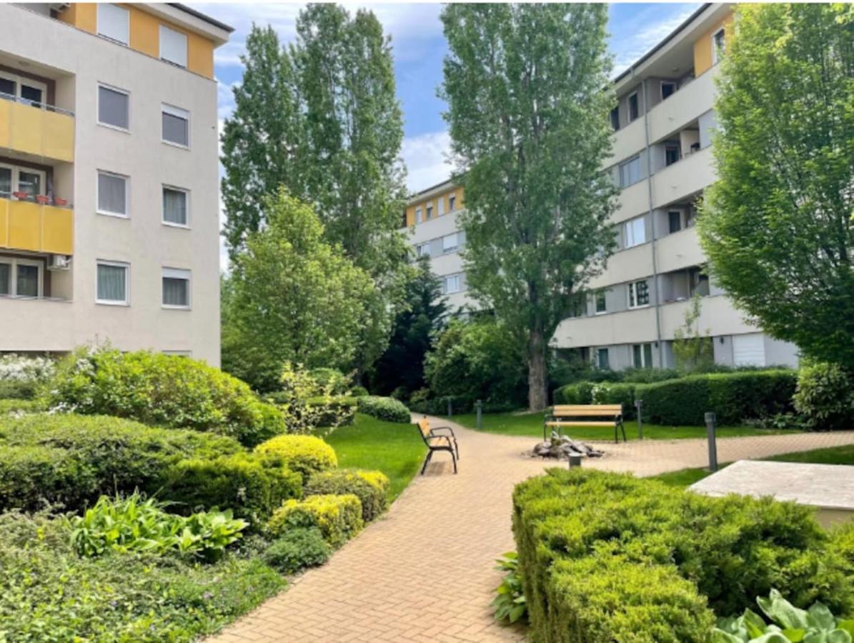 Studio Viva - Cosy Flat In Budapest - Free Parking Esterno foto